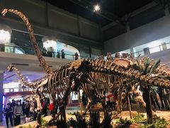 -自贡恐龙博物馆