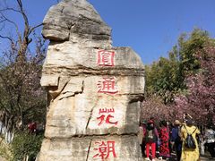 -昆明动物园