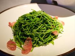 鸡油腊味炒豆苗-潮界(大学路店)