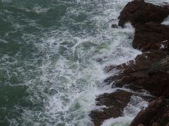 -广东惠东海龟国家级自然保护区