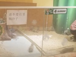 点击看大图 -哈尼鹿儿童乐园(兰州东瓯店)