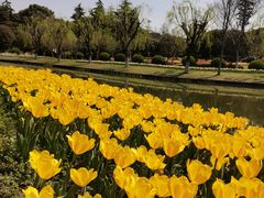 -上海鲜花港