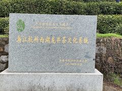 -龙井村