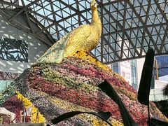 -花之城