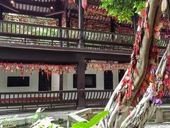 -白帝城·瞿塘峡景区