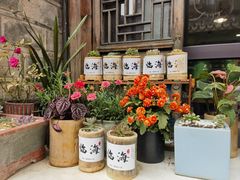 -紫阳古街
