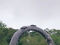 -广东惠东海龟国家级自然保护区