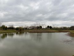 -金谷域澳洲庄园