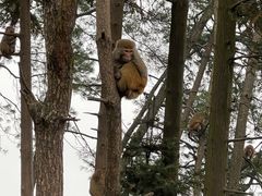 -重庆雨台山风景区