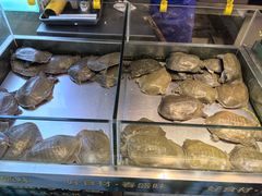 -春盛渔府(牛首山店)