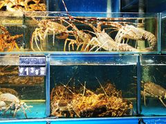 -岳各庄批发市场(西四环中路店)