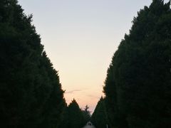 -秦始皇帝陵博物院-丽山园