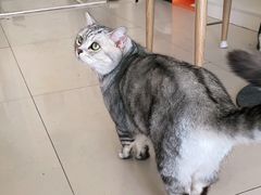 -平行世界·猫咖(首经贸店)