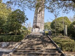 -上海佘山国家森林公园天马山园