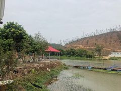 -将军陂美食山庄·瓦缸炭烧鸡