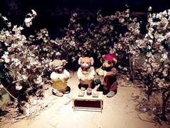 泰迪熊博物馆-成都泰迪熊博物馆