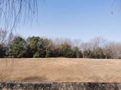 -合肥三国新城遗址公园