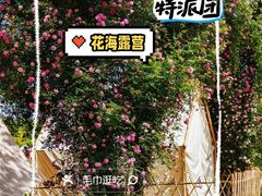 -鹅湖玫瑰文化园