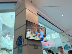 -帝企鹅自助餐厅•儿童岛•真企鹅(长隆企鹅酒店)