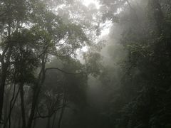 -广州市帽峰山景区