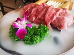 -菌子鲜汤野生菌锅