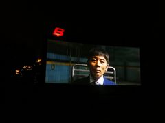 -枫花园汽车电影院(朝阳公园店)