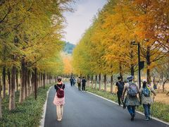 -南京市无想山景区