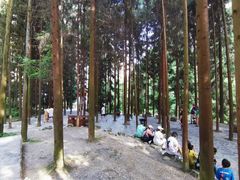 -武隆天坑寨子景区