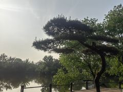 -新荣记(西溪湿地店)