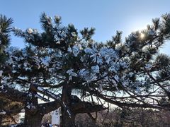 -安吉龙王山风景区