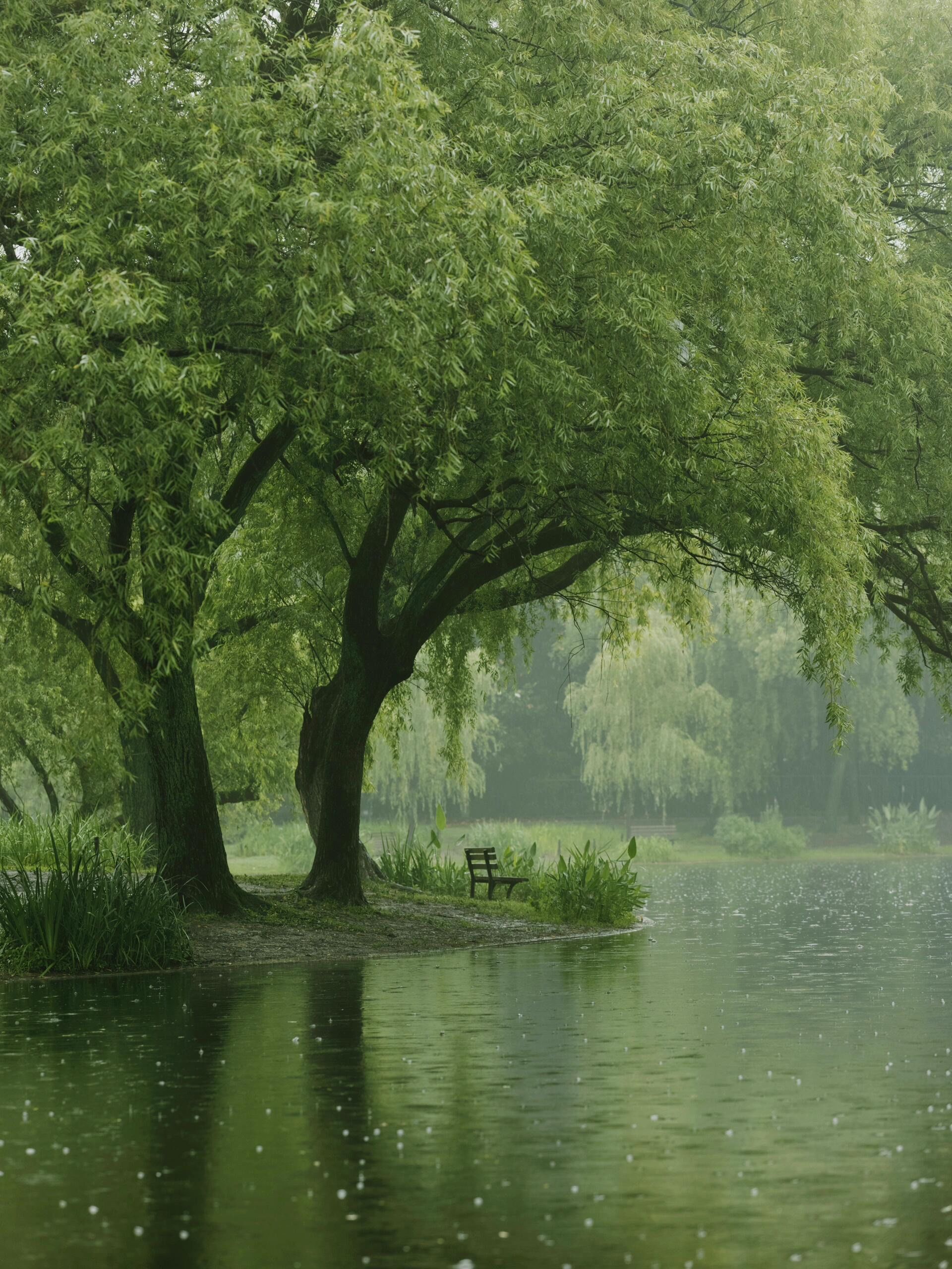 真心建议!下雨天不要轻易来共青公园,因为