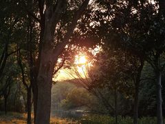 -昆山城市生态森林公园