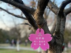 -玄武湖景区-情侣园游乐场