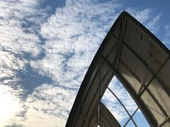 -广州市流溪河国家森林公园