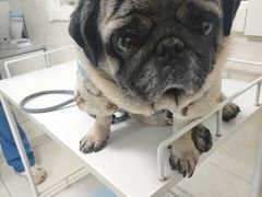 -酷宠动物医院(天通西苑店)