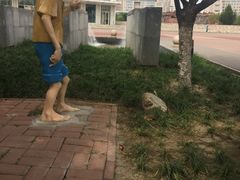 -国家动漫园