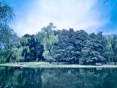 -上海共青森林公园