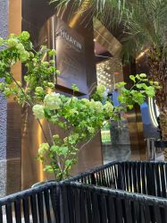 -花隐·美芙炫海菲秀皮肤管理中心