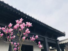 -汉中石门栈道景区