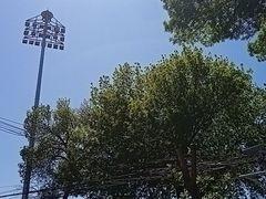 -天津市第二中学