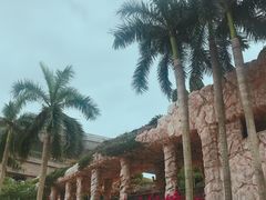 -挪亚方舟度假酒店