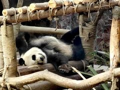 -黔灵山公园