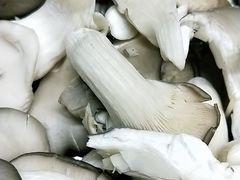 -正宗简阳羊肉汤(荣盛·布鲁明顿广场店)