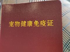 -派联宠物医院·24h·CT·异宠