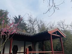 -贮水山儿童公园
