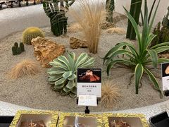 -OUR Bakery(SKP-S店)