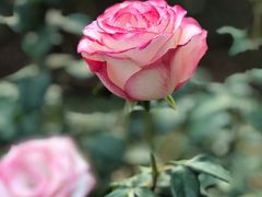 -人民公园(罗湖区)