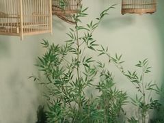 -佬麻雀·新湘菜(珠海金发购物中心店)