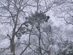 -杭州黄龙洞