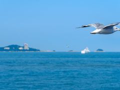 -刘公岛景区